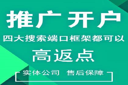 百度竞价策略解析：案例分析及优化建议